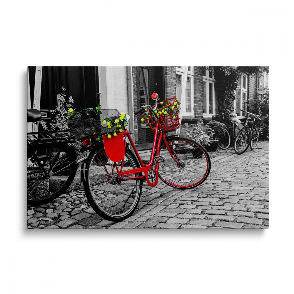 Tablou Canvas Red Bycicle [1]