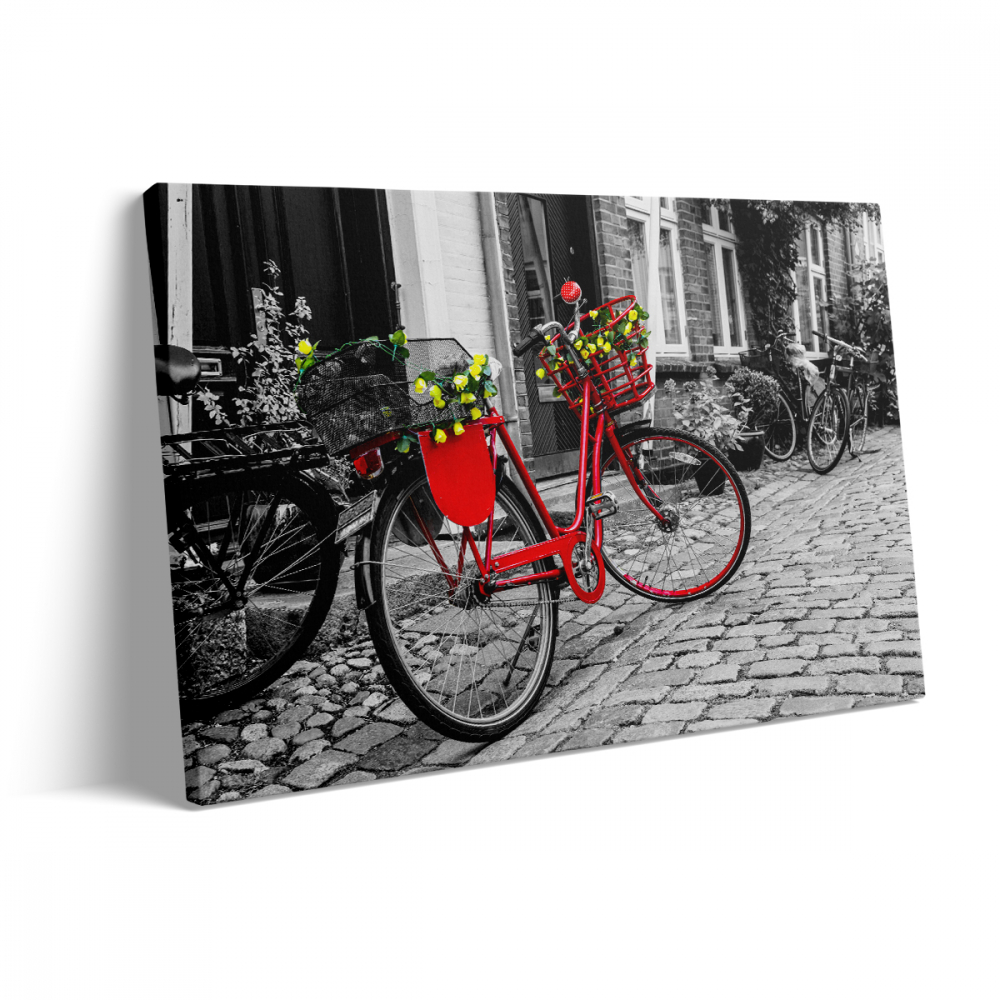 Tablou Canvas Red Bycicle [3]