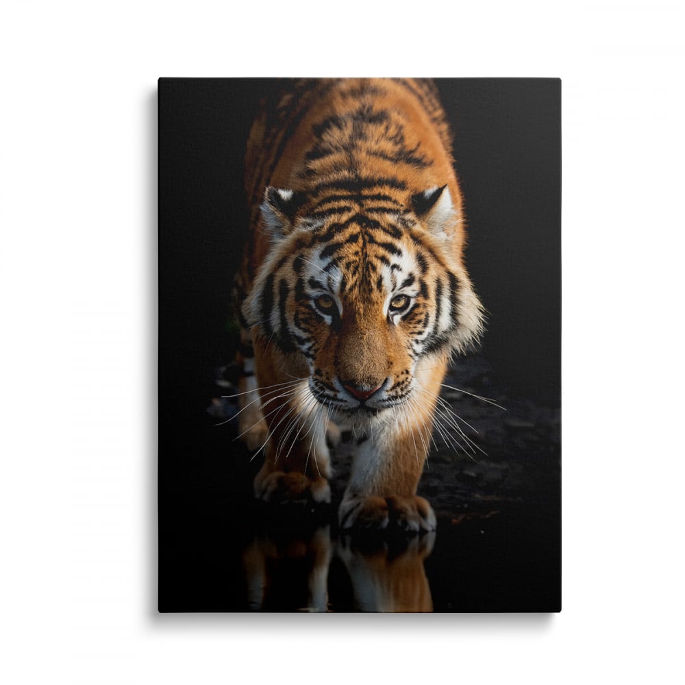 Tablou Canvas Tiger [1]