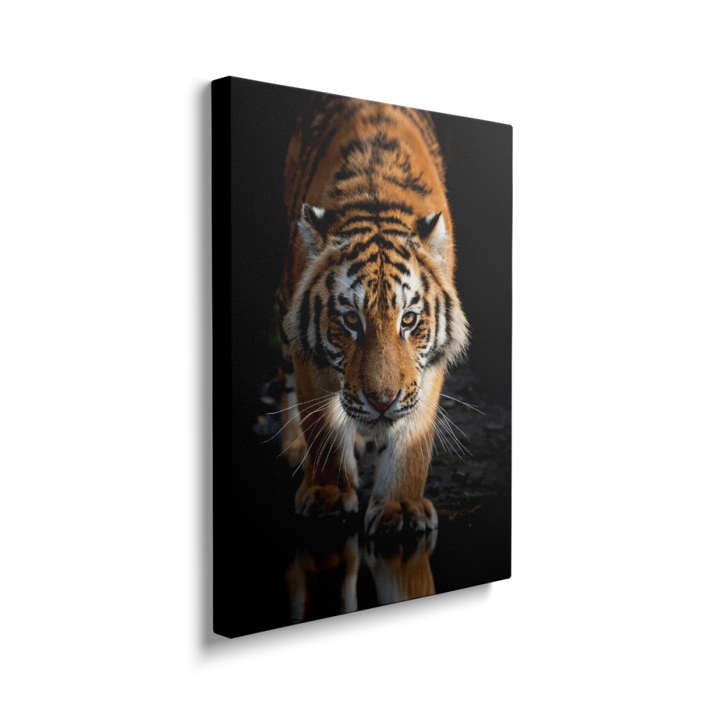 Tablou Canvas Tiger [2]