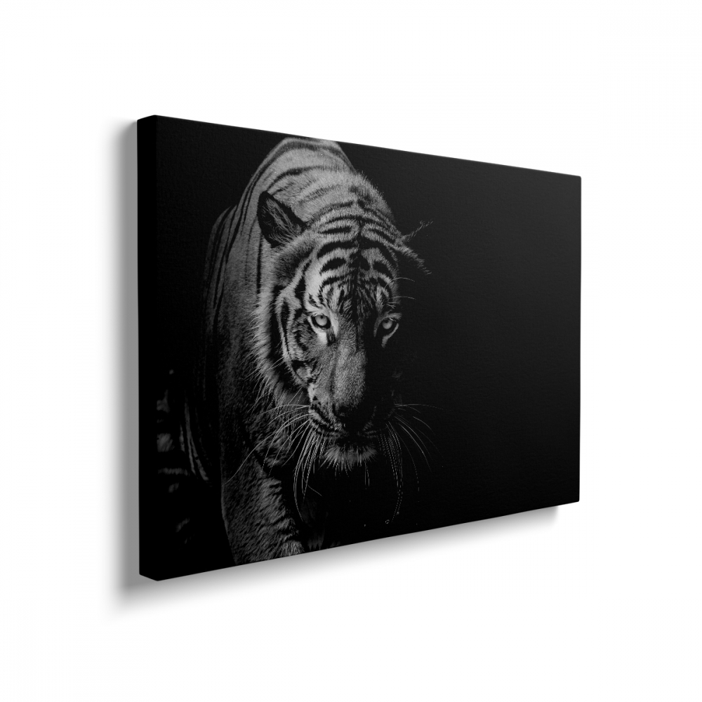 Tablou Canvas Tigru alb [2]