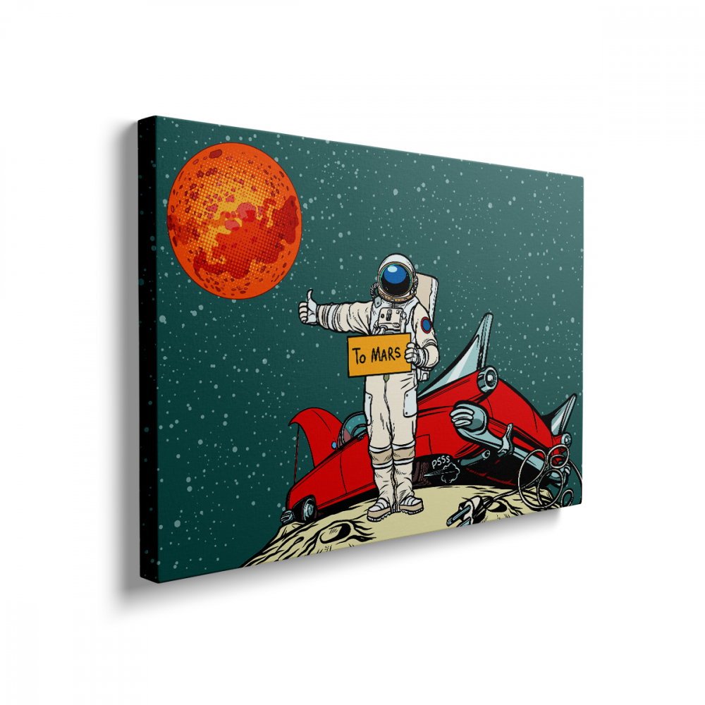 Tablou Canvas To Mars [2]