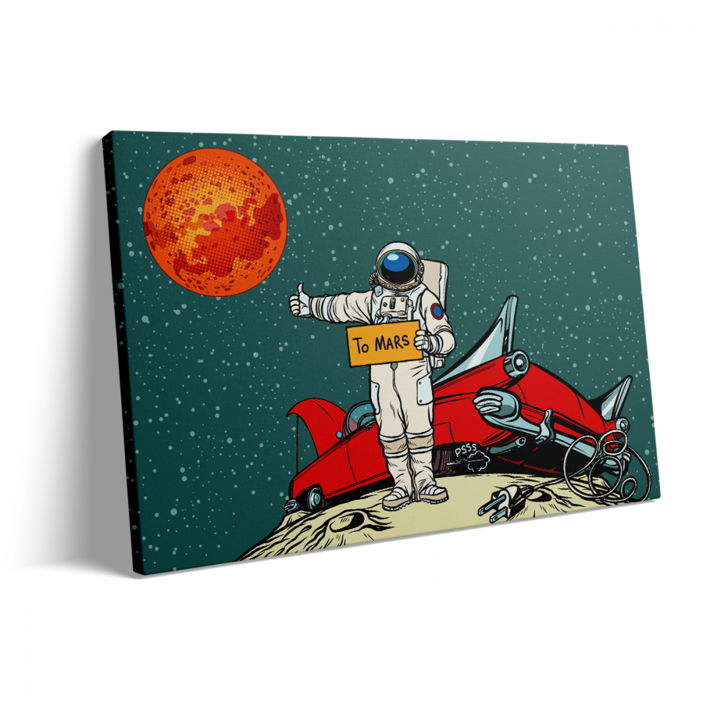 Tablou Canvas To Mars [3]