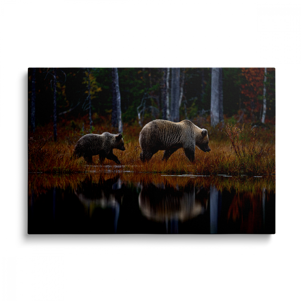 Tablou Canvas Ursi in Calatorie [1]