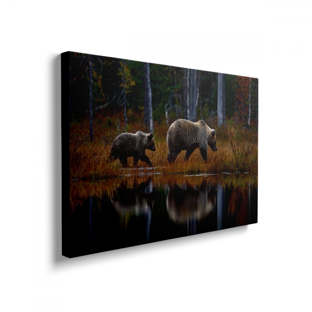 Tablou Canvas Ursi in Calatorie [2]