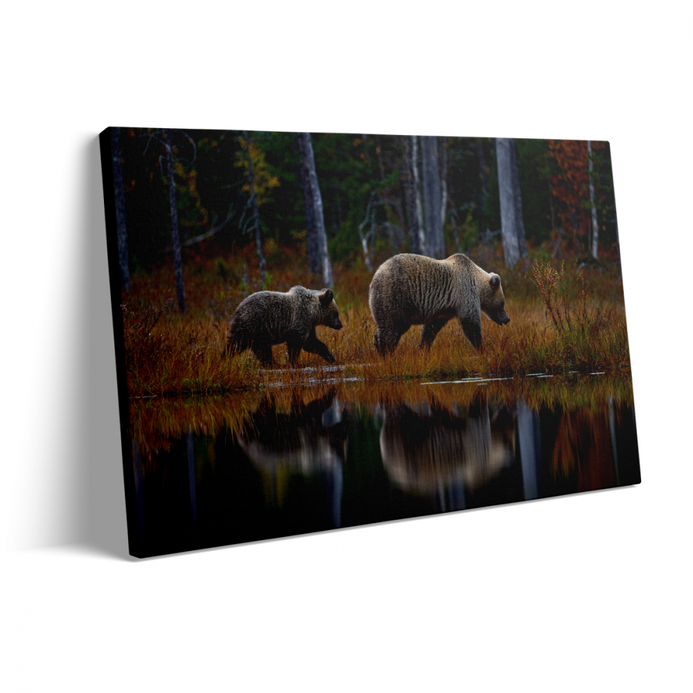 Tablou Canvas Ursi in Calatorie [3]