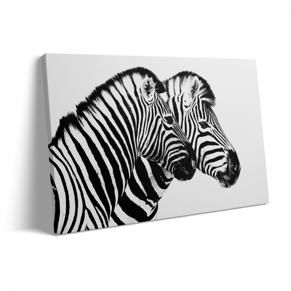 Tablou Canvas Zebre [3]