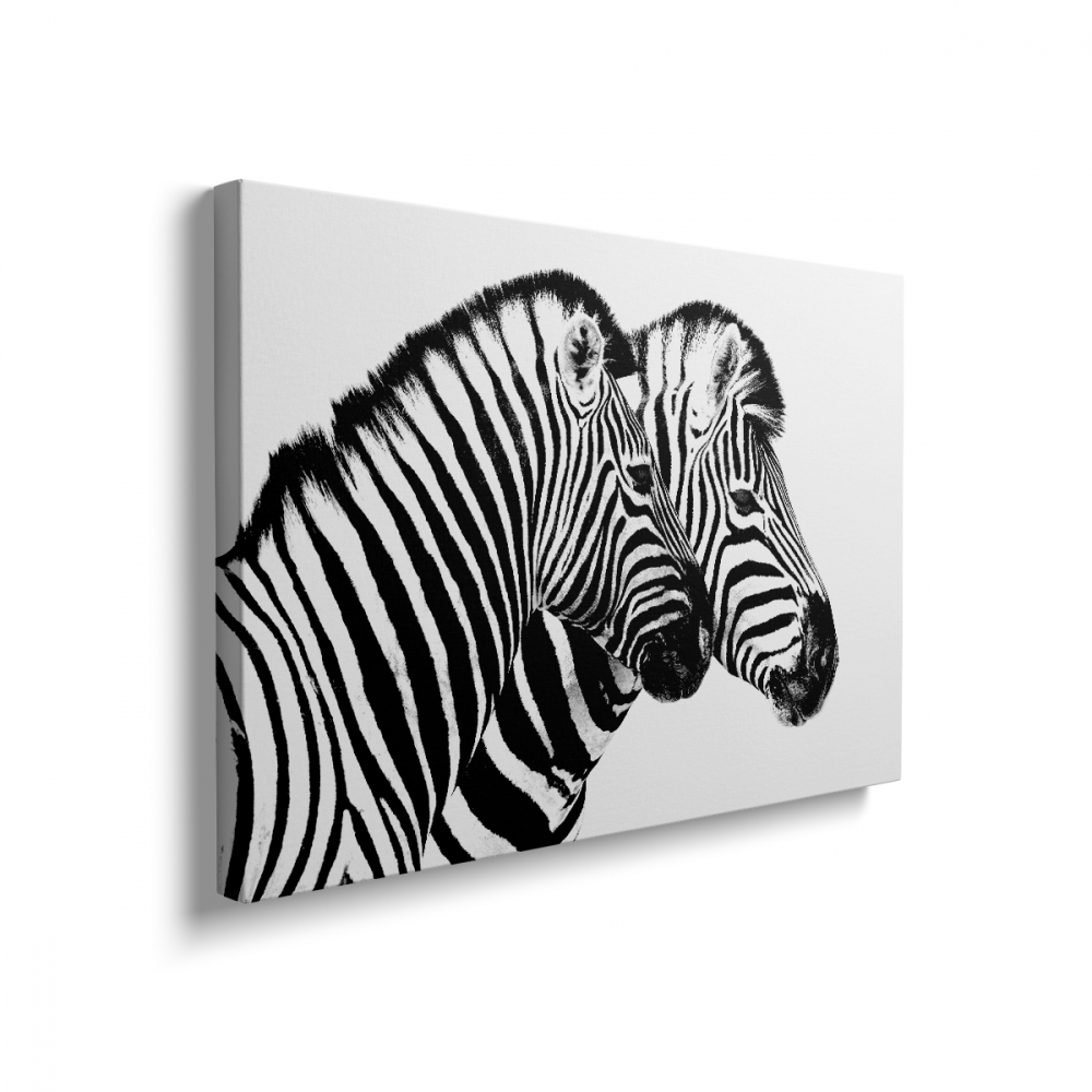 Tablou Canvas Zebre [2]