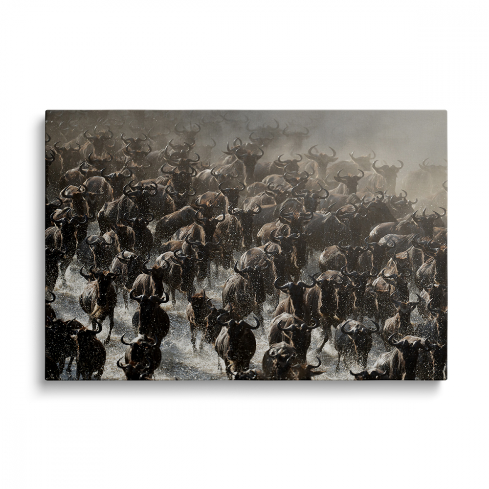 Tablou Canvas Migratie [1]