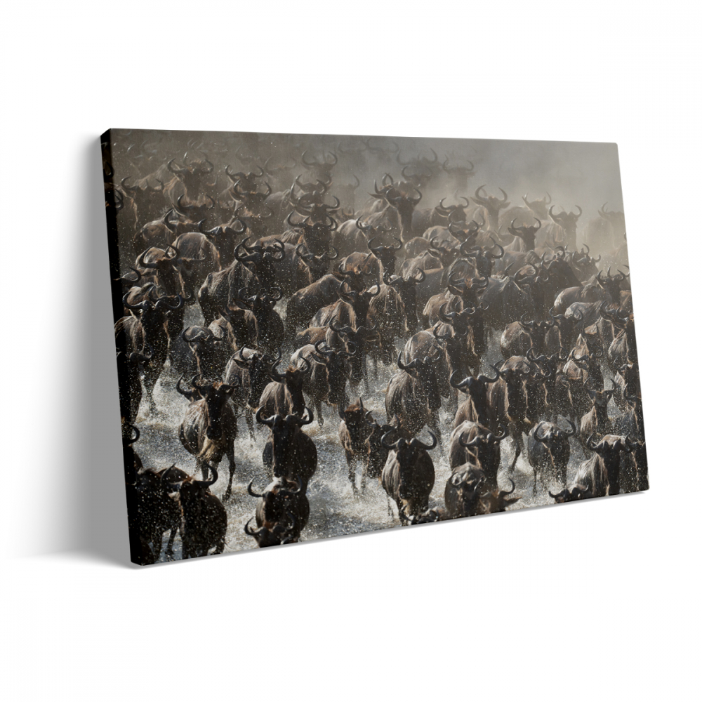 Tablou Canvas Migratie [3]