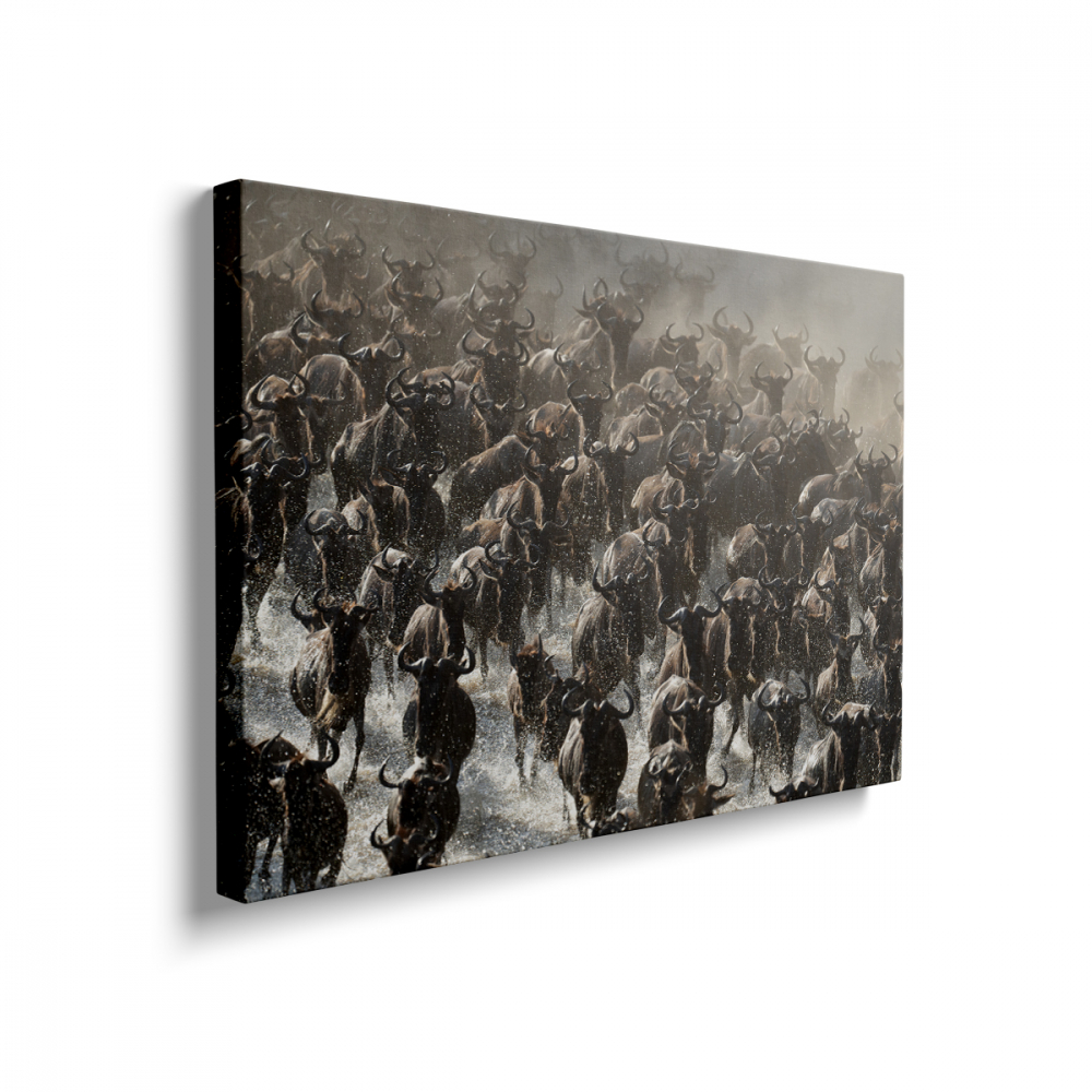 Tablou Canvas Migratie [2]