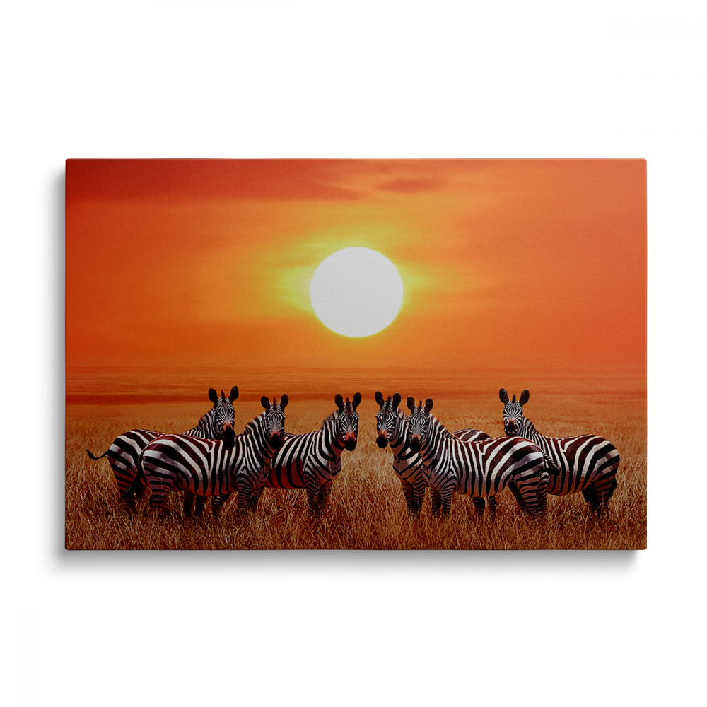 Tablou Canvas Zebre la Apus [1]