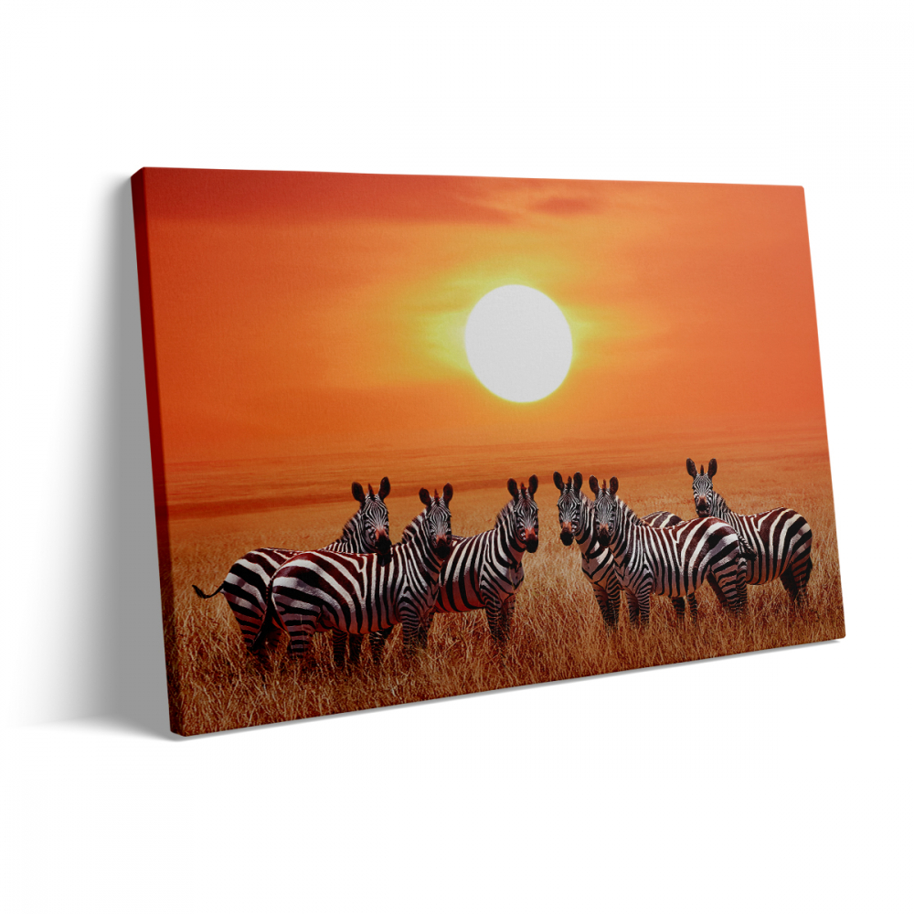 Tablou Canvas Zebre la Apus [3]
