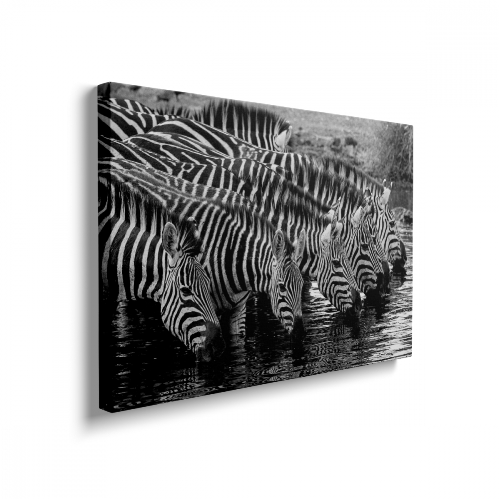 Tablou Canvas Zebras Drinking Water [2]