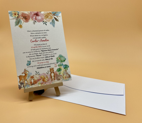 Invitatii de Botez Catalog Super - Invitație Botez N24_x_M316