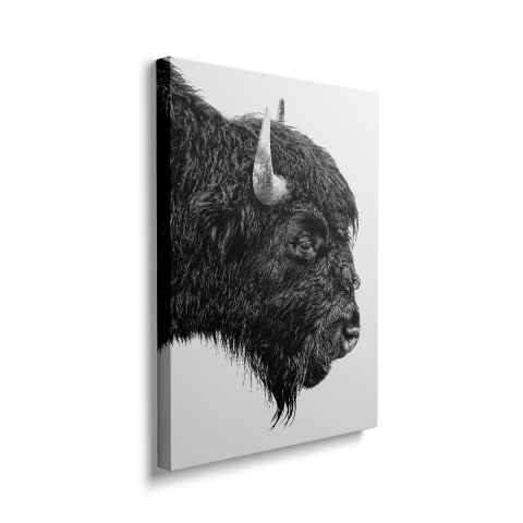 Tablou Canvas Bizon Alb Negru [1]