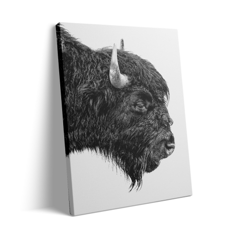 Tablou Canvas Bizon Alb Negru [2]