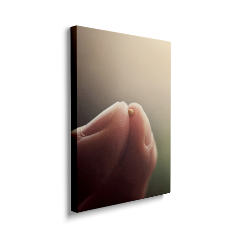 Tablou Canvas Bobul de Muștar [1]