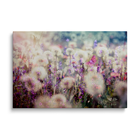 Tablouri Canvas - Tablou Canvas Câmp cu Păpădii