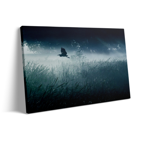 Tablou Canvas Câmp Nocturn [2]