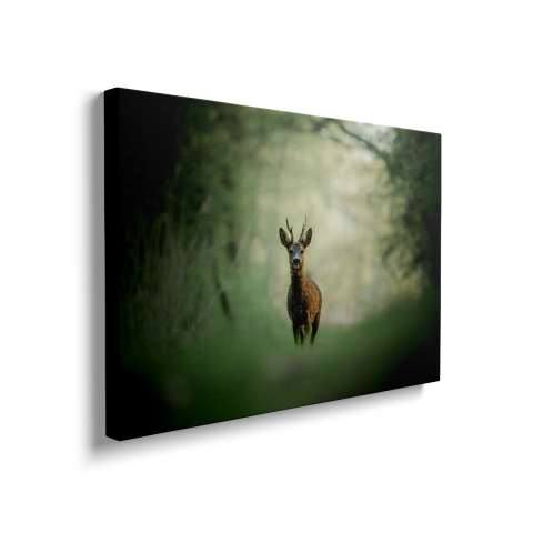 Tablou Canvas Cerb în pădure 2 [1]