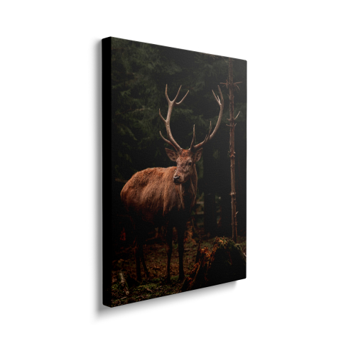 Tablou Canvas Cerb1 [1]