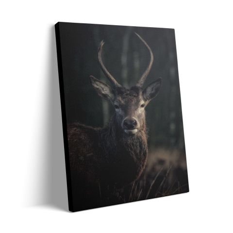 Tablou Canvas Cerb2 [2]