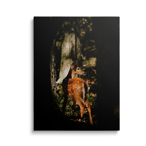 Tablouri Canvas Animale - Tablou Canvas Cerb3