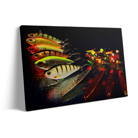 Tablou Canvas Colorful Fish [2]
