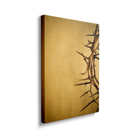 Tablou Canvas Coroana de Spini [1]