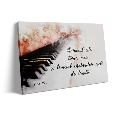 Tablou Canvas Domul este tăria mea [2]