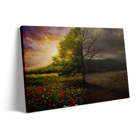 Tablou Canvas Două Naturi [2]