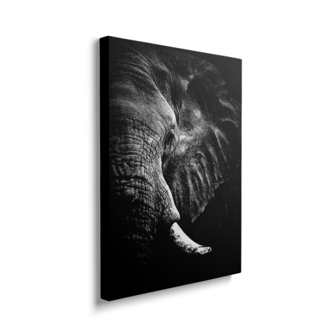 Tablou Canvas Elephant Black/White [1]