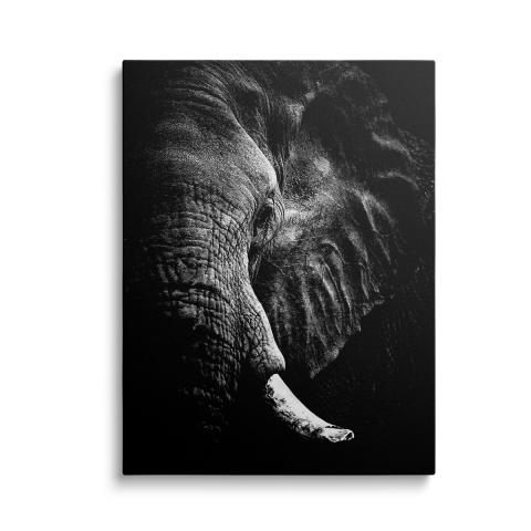 Tablouri Canvas Animale - Tablou Canvas Elephant Black/White