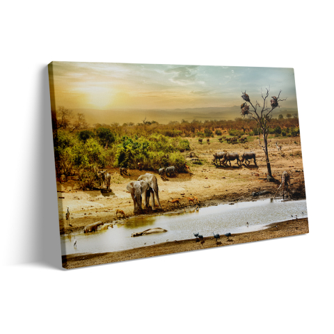 Tablou Canvas Elephants in the Desert [2]