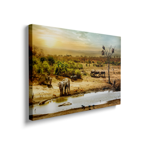 Tablou Canvas Elephants in the Desert [1]