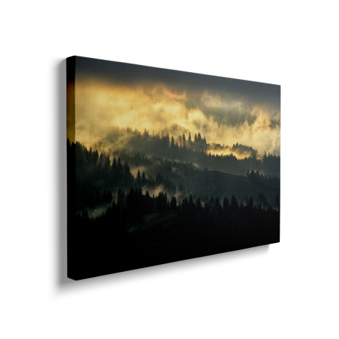 Tablou Canvas Forest 2 [1]