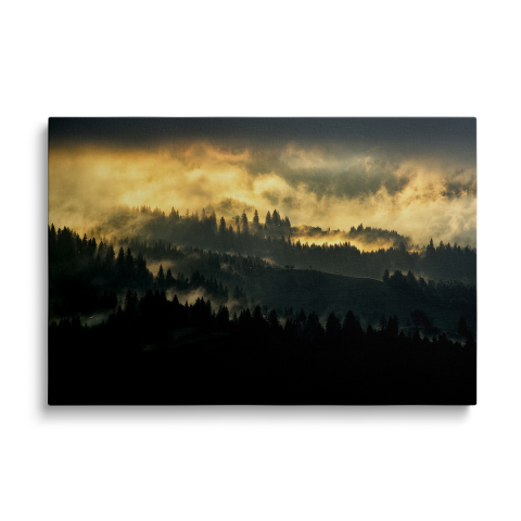 Tablouri Canvas Natura - Tablou Canvas Forest 2