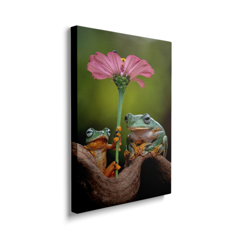 Tablou Canvas Frogs [1]