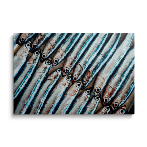 Tablouri Canvas - Tablou Canvas Group Of Fish