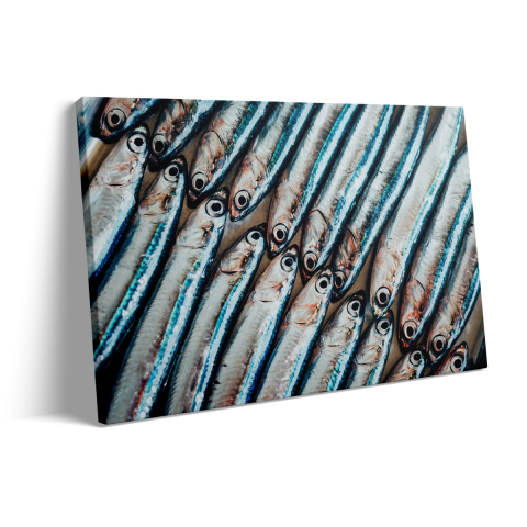 Tablou Canvas Group Of Fish [2]
