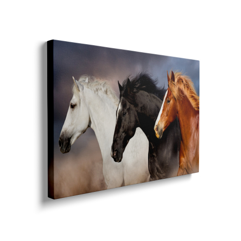 Tablou Canvas Horses 3 [1]