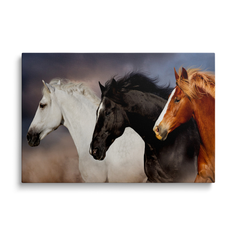 Tablouri Canvas Animale - Tablou Canvas Horses 3