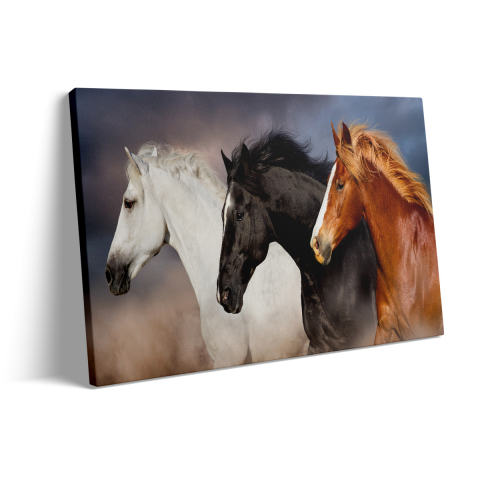 Tablou Canvas Horses 3 [2]
