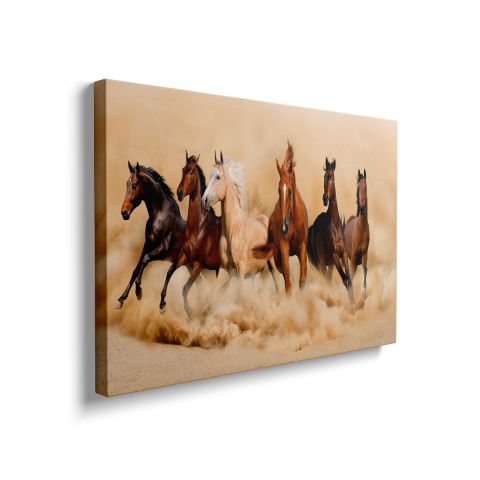 Tablou Canvas Horses 1 [1]