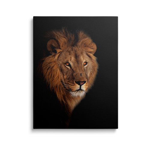Tablouri Canvas Animale - Tablou Canvas Lion
