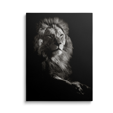 Tablouri Canvas Animale - Tablou Canvas Lion Black/White