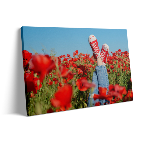 Tablou Canvas Maci Roșii [2]