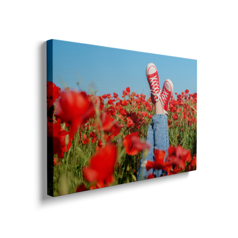 Tablou Canvas Maci Roșii [1]