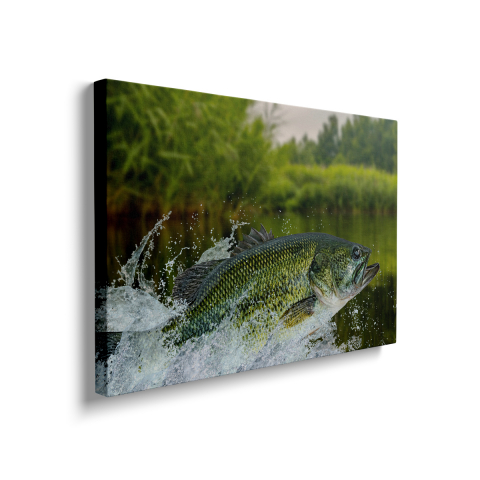 Tablou Canvas Pește de Apă Dulce [1]